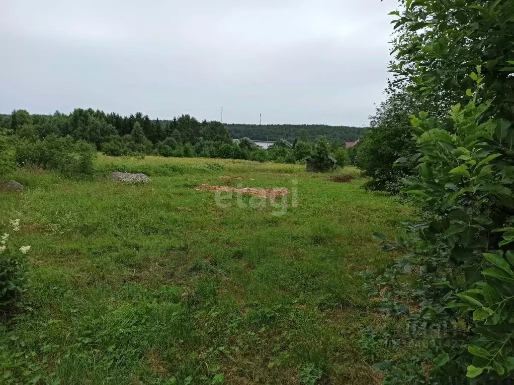 Участок в Карелия, Прионежский район, Заозерское с/пос, д. Ялгуба ул. ... - Фото 0