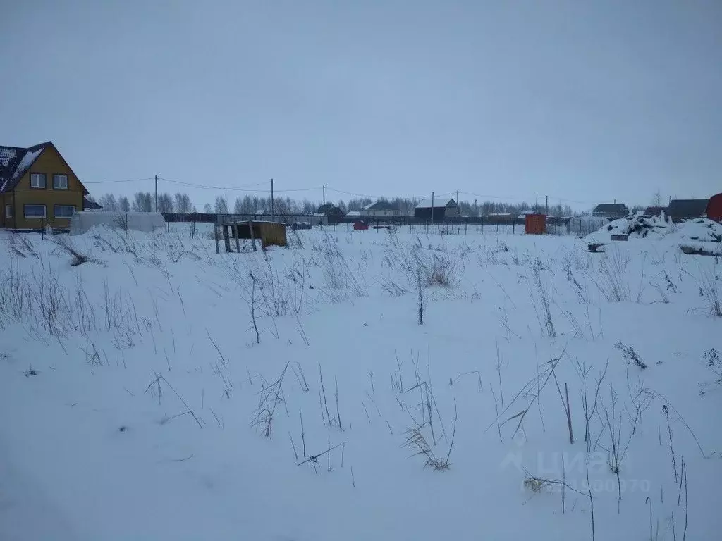 Участок в Новгородская область, Новгородский район, Ракомское с/пос, ... - Фото 0