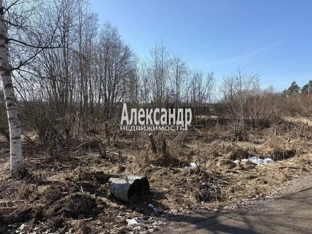 Участок в Ленинградская область, Приозерский район, Плодовское с/пос, ... - Фото 2