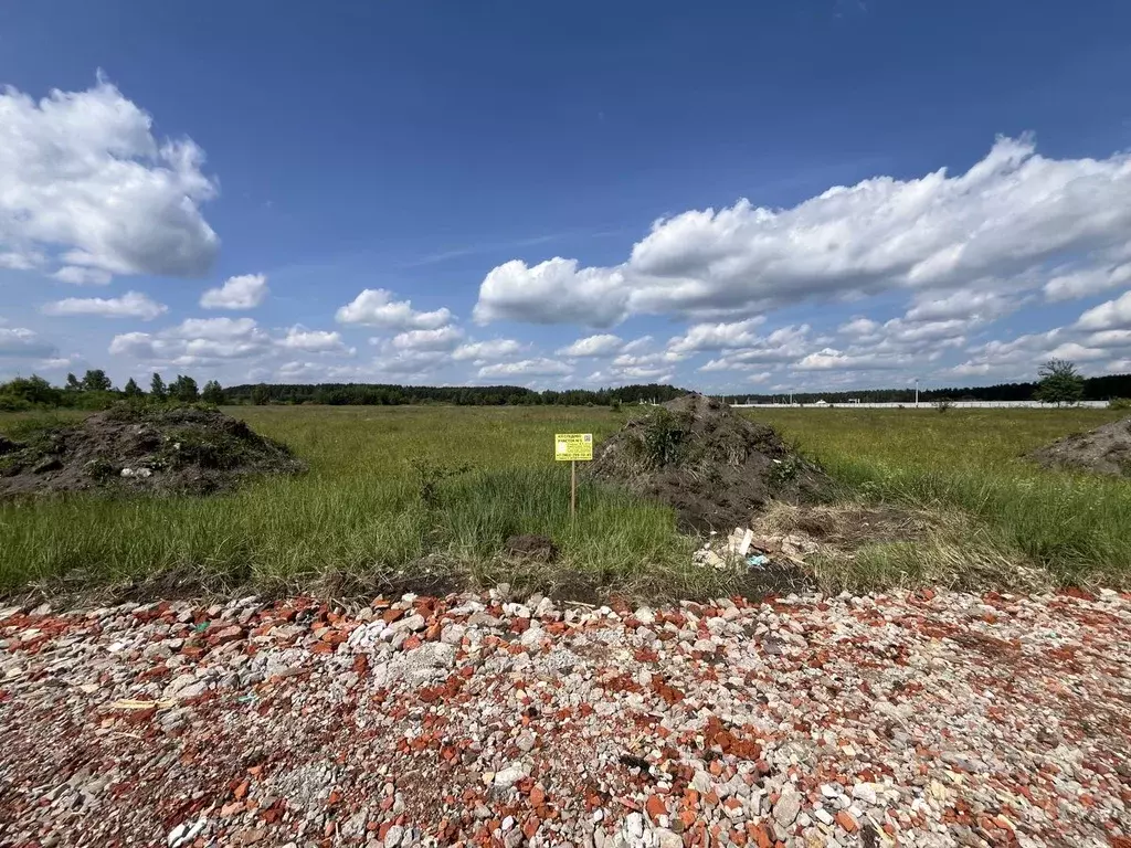 Участок в Московская область, Богородский городской округ, Следово кп ... - Фото 2