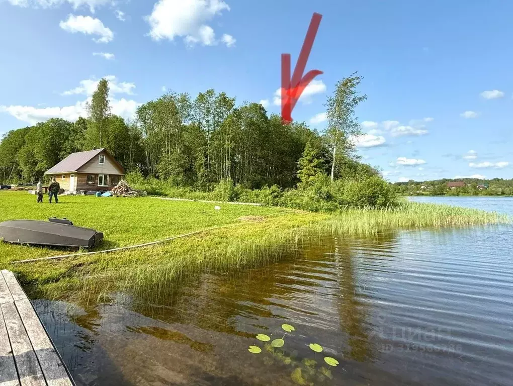 Участок в Новгородская область, Крестецкий муниципальный округ, д. ... - Фото 1