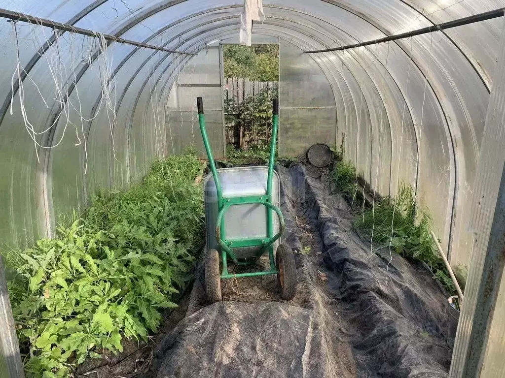 Дом в Кировская область, Киров  (22 м) - Фото 1