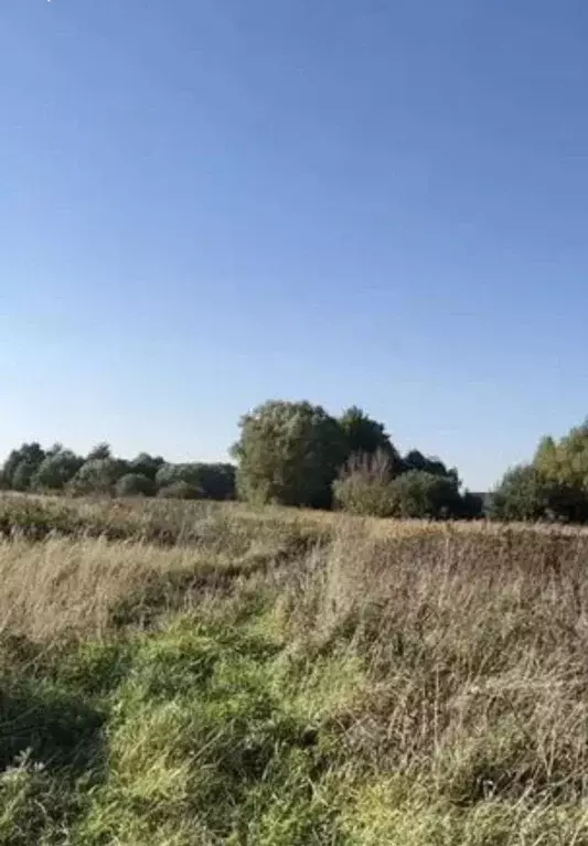 Участок в Калининградская область, Гурьевский муниципальный округ, ... - Фото 0