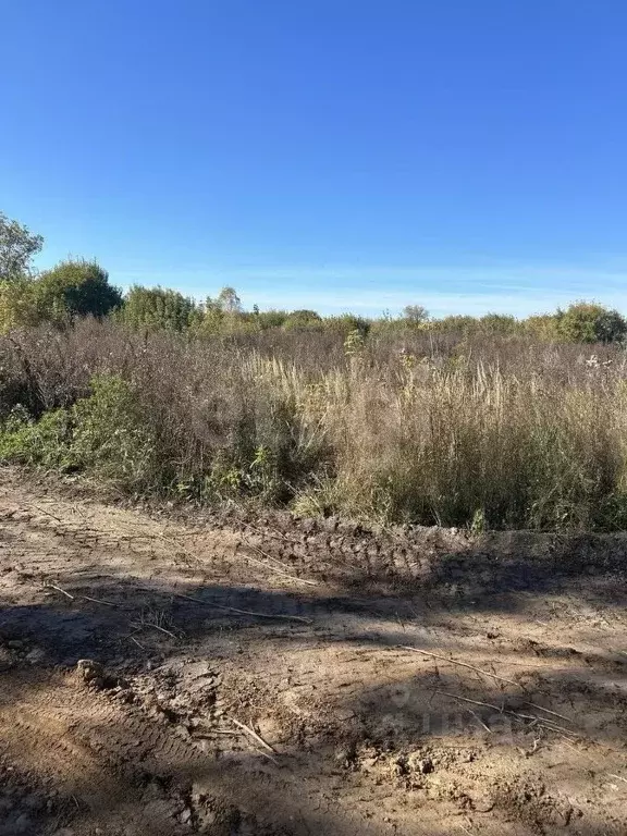 Участок в Владимирская область, Муром Совхозная ул. (5.0 сот.) - Фото 2