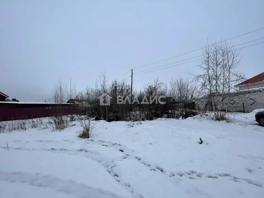 Участок в Нижегородская область, Нижний Новгород с. Вязовка, ул. ... - Фото 2