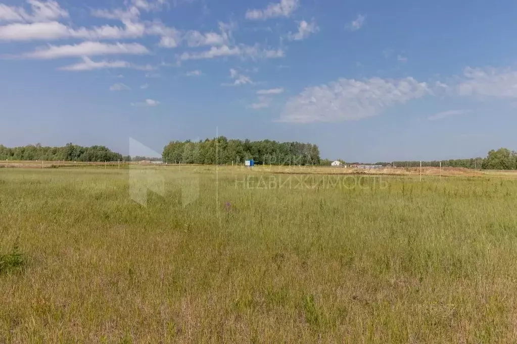 Участок в Тюменская область, Тюменский муниципальный округ, ... - Фото 1