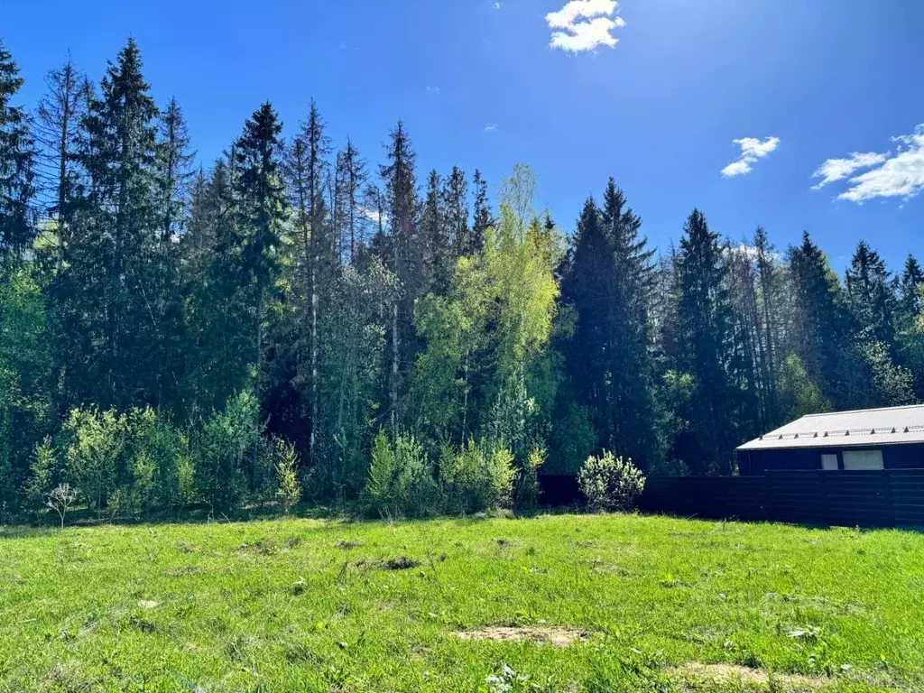 Участок в Московская область, Пушкино Чистые Пруды мкр, проезд ... - Фото 1