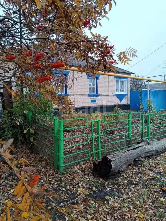 Дом в Белгородская область, Губкинский городской округ, с. Толстое ул. ... - Фото 1