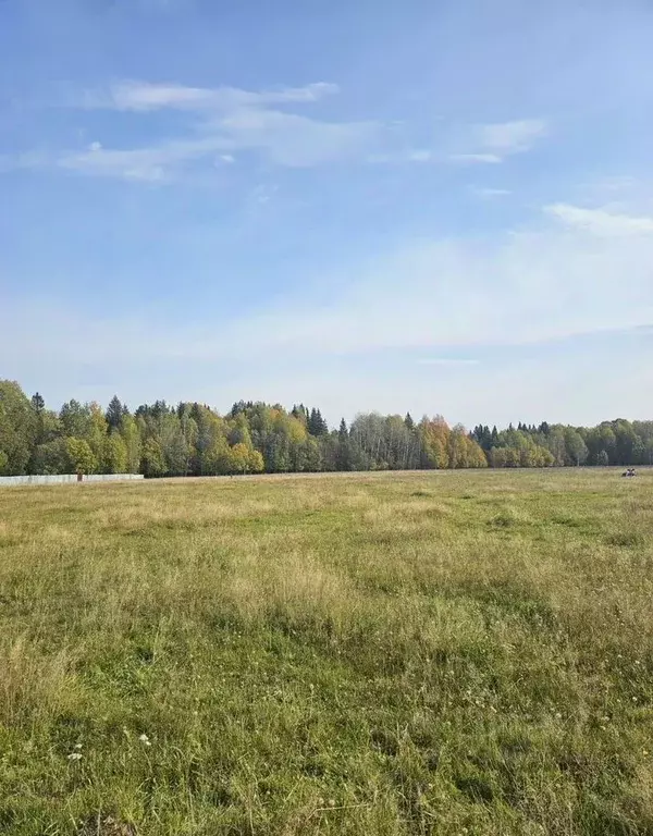 Участок в Пермский край, Пермский муниципальный округ, д. Большакино ... - Фото 1