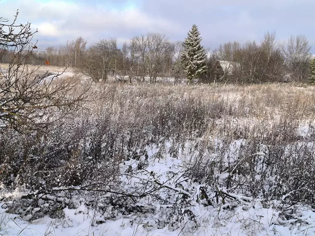 Участок в Вологодская область, с. Кубенское  (15.0 сот.) - Фото 1