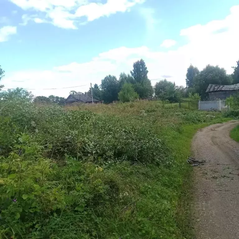 Участок в Новгородская область, Валдайский муниципальный округ, ... - Фото 1