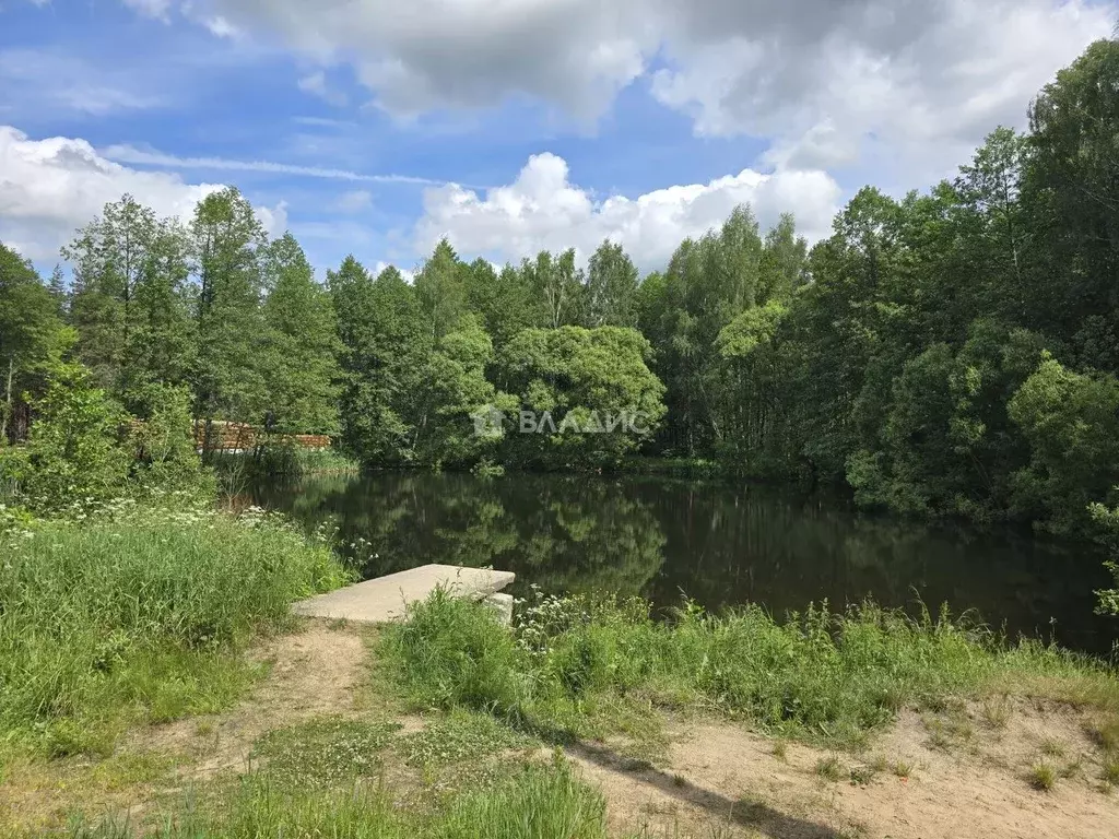 Участок в Владимирская область, Судогодский район, д. Ладога, Ладога ... - Фото 1