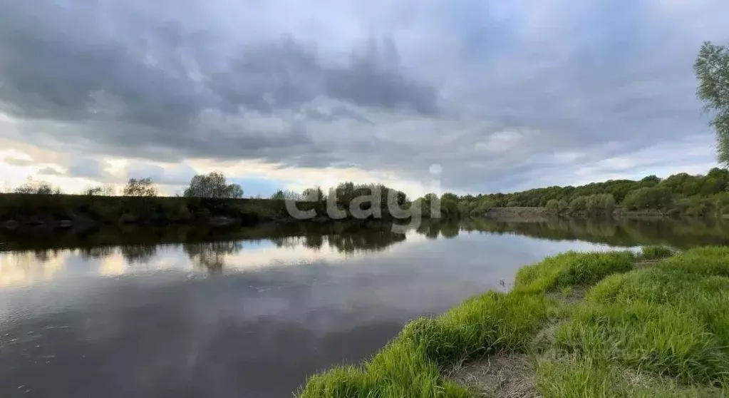 Участок в Калужская область, Калуга городской округ, д. Андреевское  ... - Фото 2