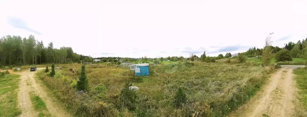 Участок в Ленинградская область, Кингисеппский район, Нежновское ... - Фото 1