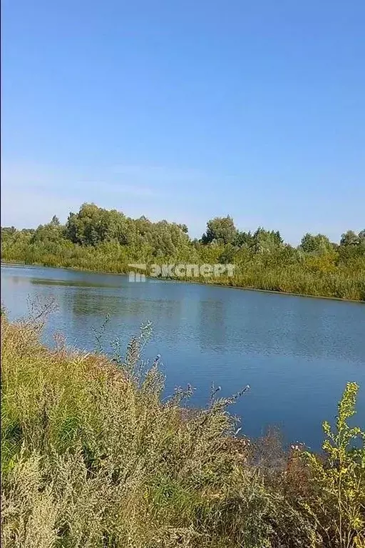 Участок в Татарстан, Лаишевский район, с. Сокуры  (10.0 сот.) - Фото 0