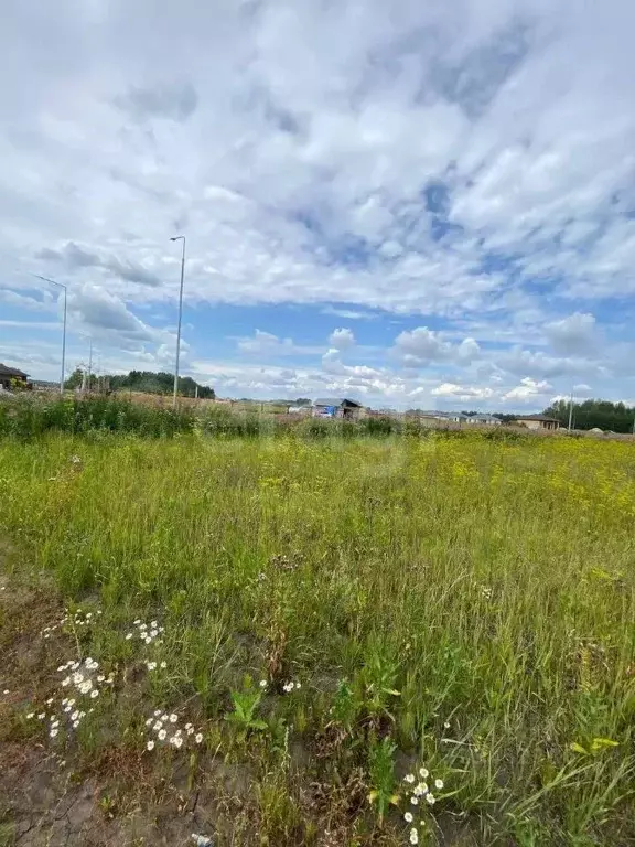 Участок в Тюменская область, Тюменский муниципальный округ, ... - Фото 1