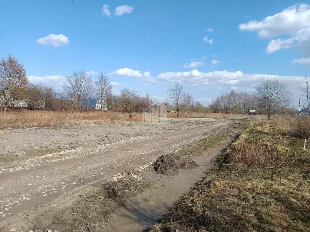 Участок в Калининградская область, Калининград Чайка СНТ, проезд ... - Фото 2