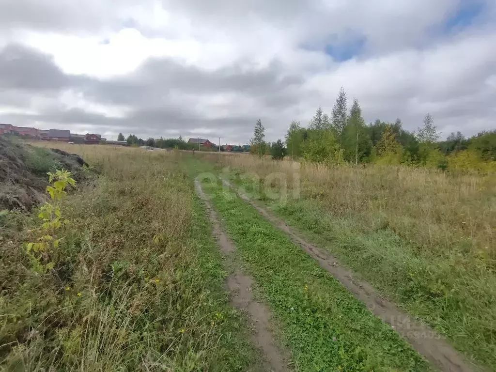 Участок в Мордовия, Лямбирский район, Берсеневское с/пос, Дружба ... - Фото 1