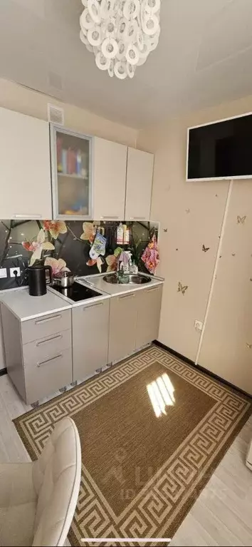 1-к кв. Саратовская область, Энгельс Студенческая ул., 183Е (33.0 м) - Фото 1