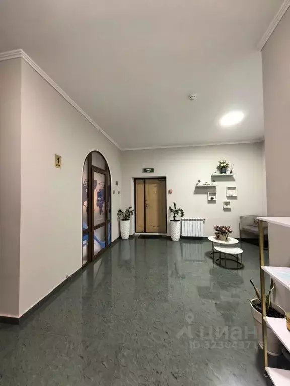 Офис в Краснодарский край, Новороссийск ул. Конституции, 20 (31 м) - Фото 2