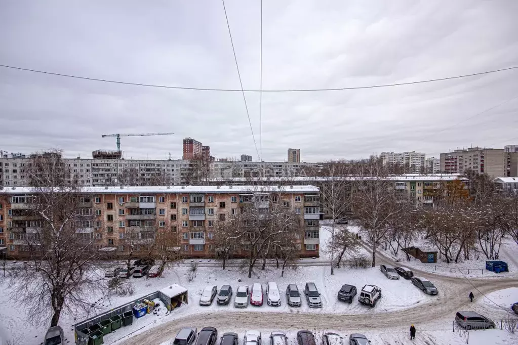 2-к кв. Новосибирская область, Новосибирск ул. Кропоткина, 119/1 (47.0 ... - Фото 1