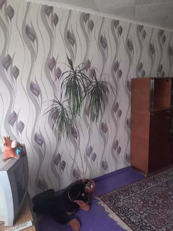 Продаётся 2-к квартира, 35.8 м - Фото 1