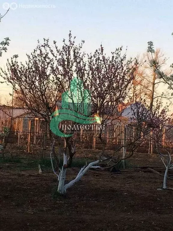 Дом в Джанкойский район, Лобановское сельское поселение, село Марьино ... - Фото 1
