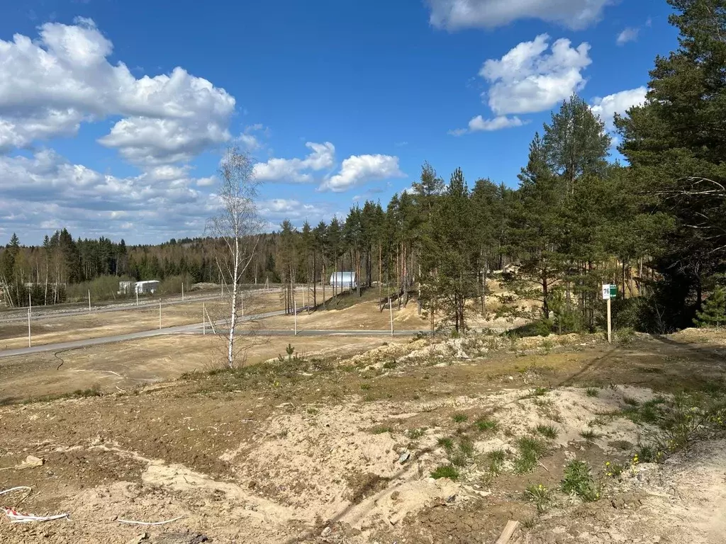 Участок в Ленинградская область, Всеволожский район, Бугровское ... - Фото 0