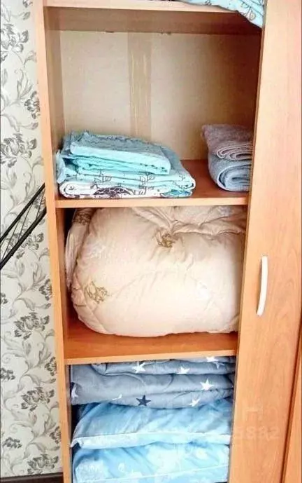 2-к кв. Московская область, Домодедово Южный мкр, ул. Курыжова, 15к2 ... - Фото 2