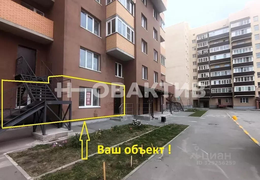 Помещение свободного назначения в Новосибирская область, Новосибирск ... - Фото 2