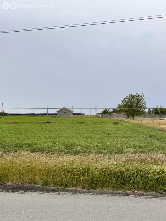 Участок в село Весёло-Вознесенка, Школьная улица, 35 (20 м) - Фото 0