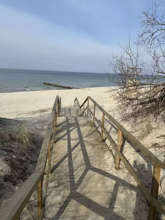 1-к. квартира, 28 м, 2/4 эт. - Фото 0