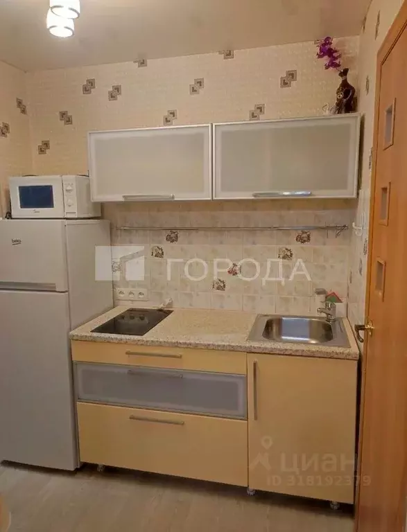 2-к кв. Новосибирская область, Новосибирск Красный просп., 163/1 (35.0 ... - Фото 1