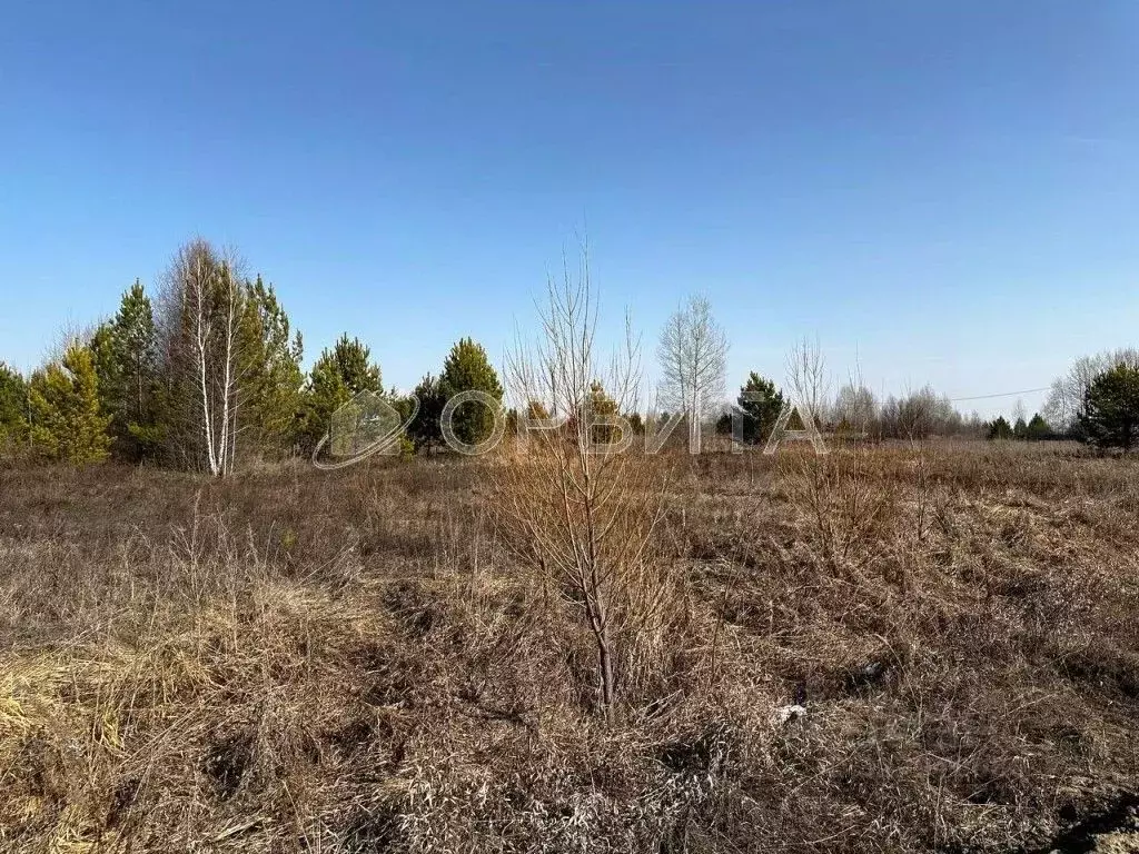 Участок в Тюменская область, Нижнетавдинский муниципальный округ, У ... - Фото 2