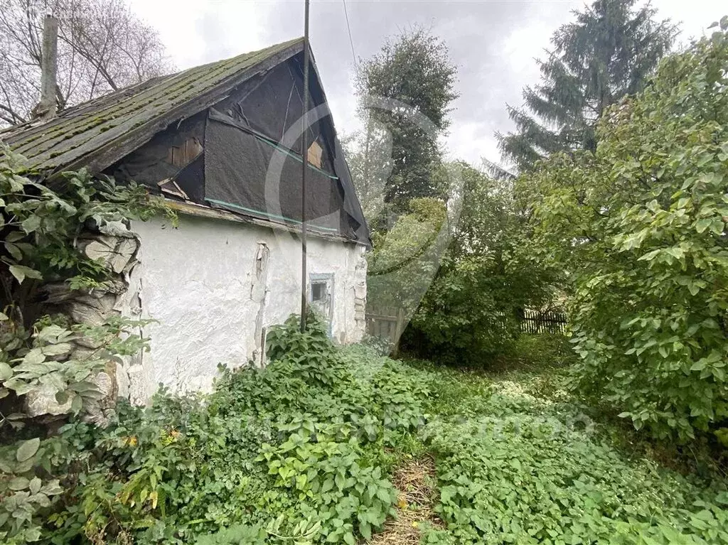 Дом в Рязанская область, Михайловский муниципальный округ, село ... - Фото 2