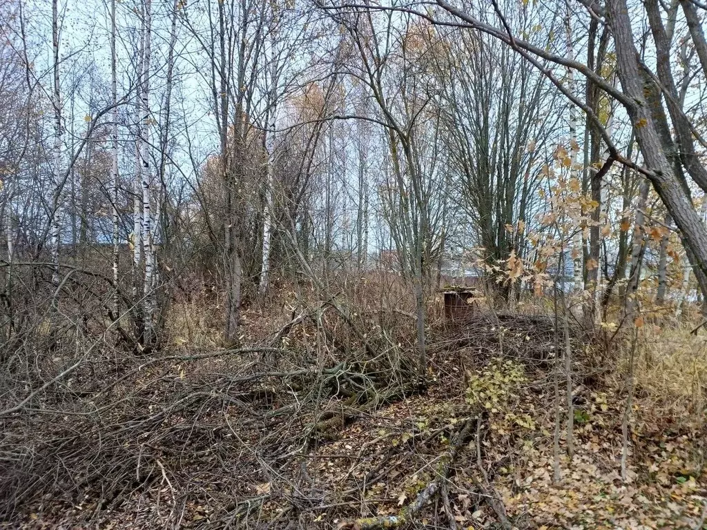 Участок в Московская область, Сергиево-Посадский городской округ, д. ... - Фото 1