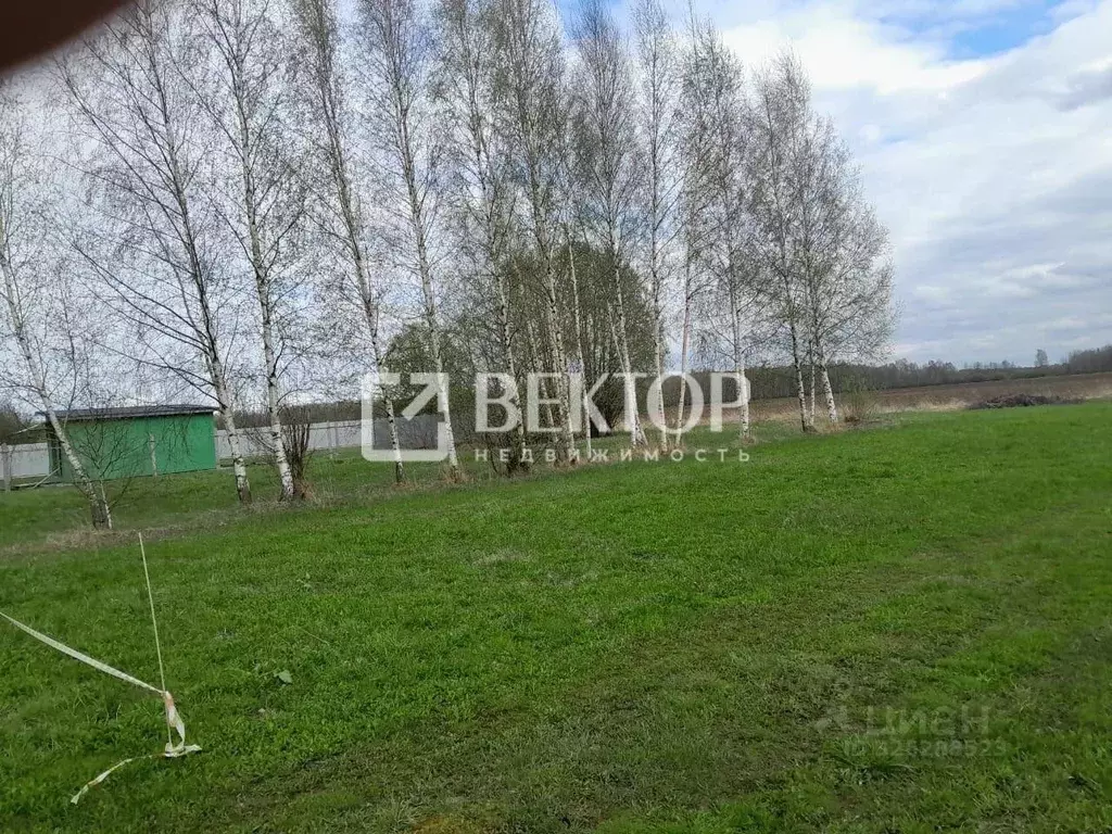 Участок в Ярославская область, Ярославский муниципальный округ, д. ... - Фото 1