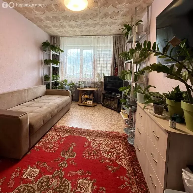 Квартира-студия: Артём, улица Фрунзе, 54 (22.1 м) - Фото 1