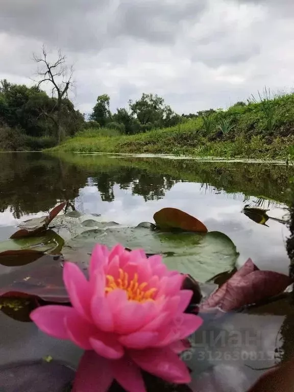 Дом в Московская область, Серпухов городской округ, д. Семеновское  ... - Фото 1