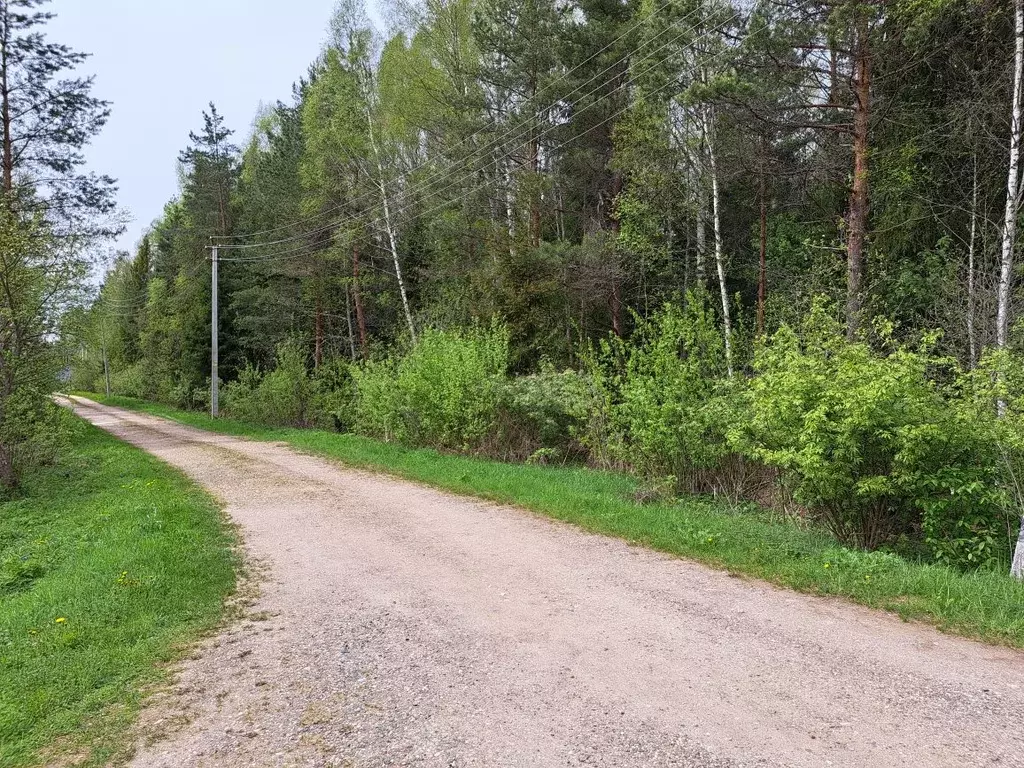 Участок в Московская область, Дмитровский муниципальный округ, ... - Фото 2