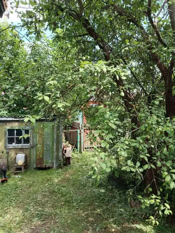 Дом в Московская область, Щелково городской округ, д. Огуднево 94 (50 ... - Фото 1