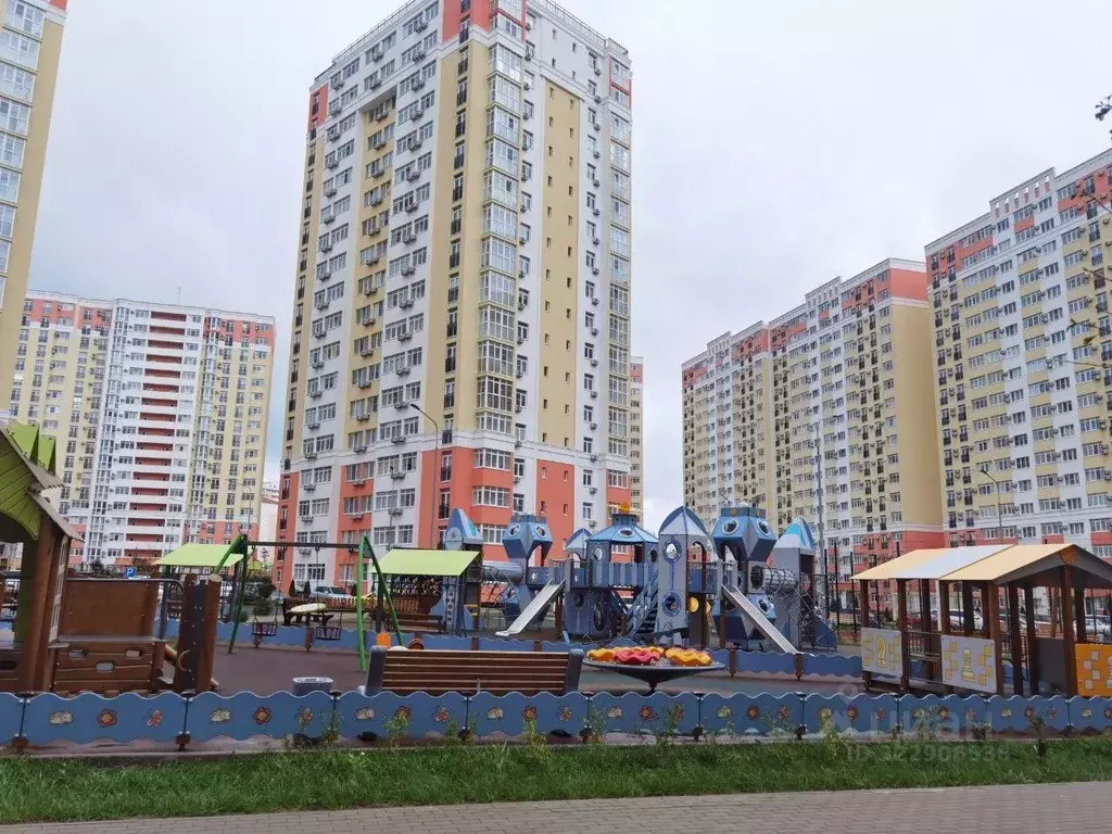 Студия Краснодарский край, Анапа ш. Супсехское, 39к17 (22.0 м) - Фото 2