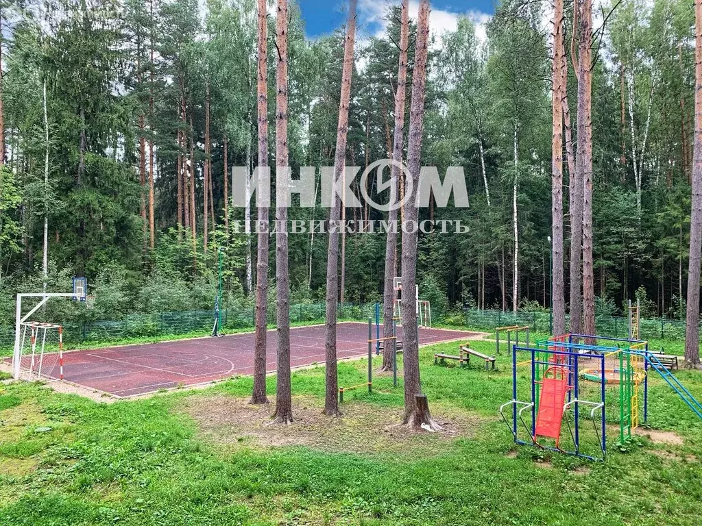 Участок в Московская область, городской округ Пушкинский, деревня ... - Фото 1