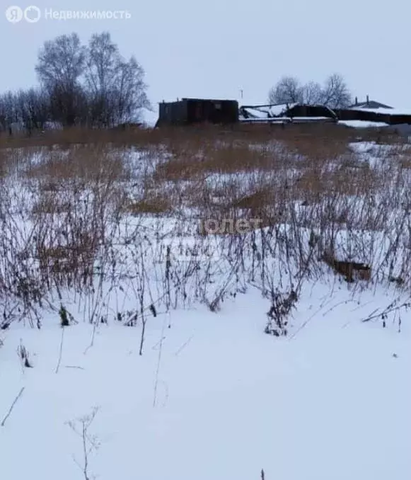 Участок в Белоярский городской округ, деревня Марамзина, Новая улица ... - Фото 0