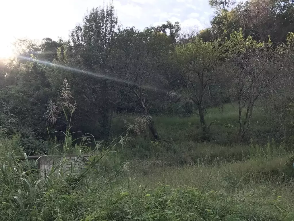 Участок в Краснодарский край, Сочи городской округ, с. Орел-Изумруд ... - Фото 1