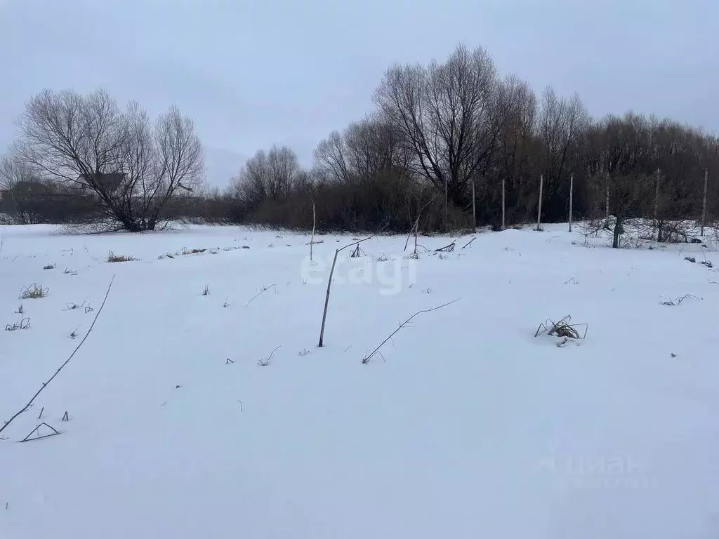 Участок в Воронежская область, с. Новая Усмань ул. Коммунарская (10.0 ... - Фото 0