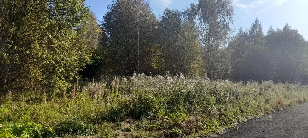 Участок в Московская область, Сергиево-Посадский городской округ, ... - Фото 1