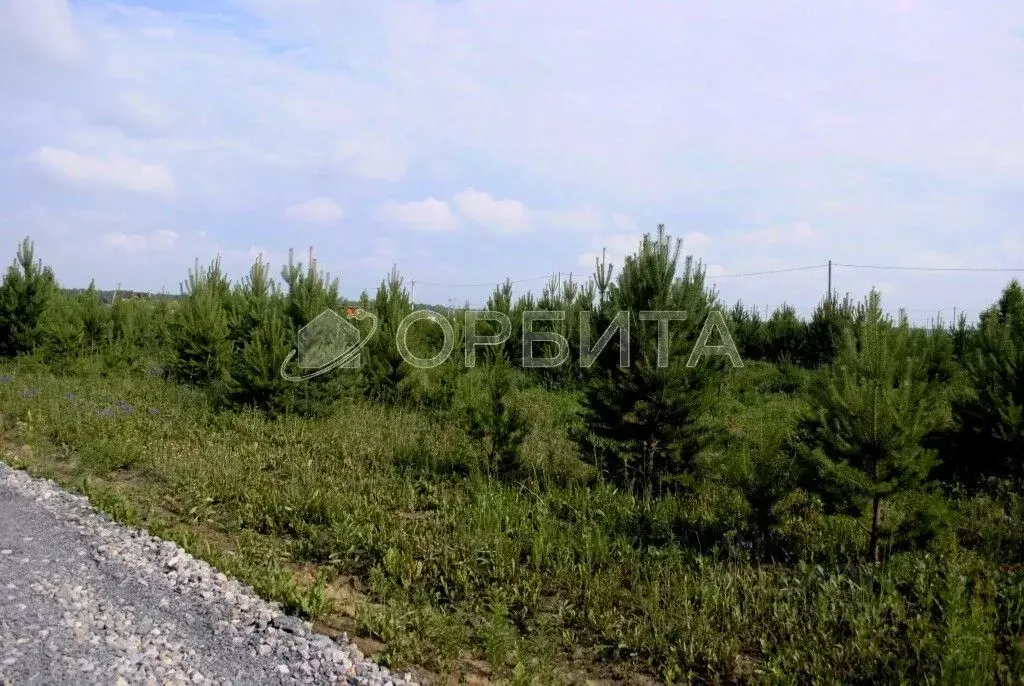 Участок в Тюменская область, Тюменский район, с. Кулига, Кулига-2 мкр  ... - Фото 0