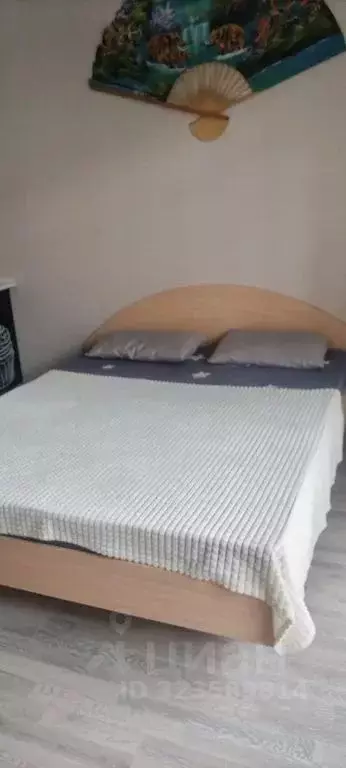 Студия Крым, Черноморское пгт ул. Сигнальная, 2Б (24.0 м) - Фото 1