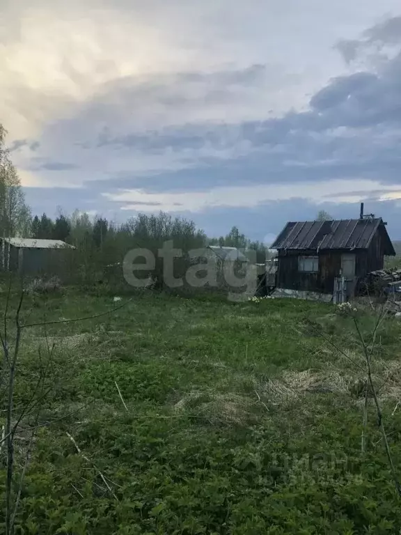 Участок в Коми, Сыктывдинский муниципальный район, Выльгорт ... - Фото 2
